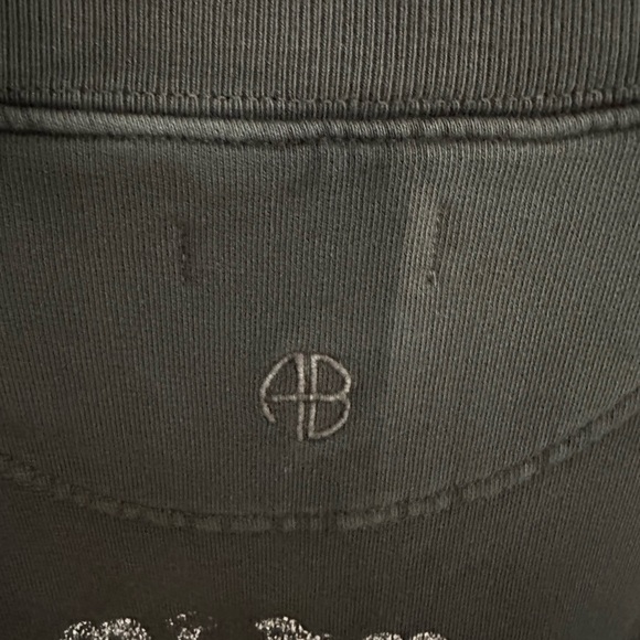 Anine Bing  Kenny panther sweatshirt - Picture 13 of 13